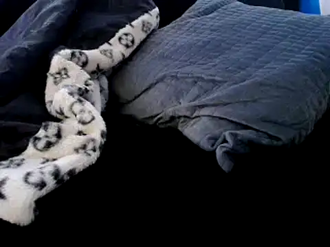 Snapshot of Niquitasparkles chatting on 23, 12, 2024 Niquitasparkles online show from 23, 12, 2024