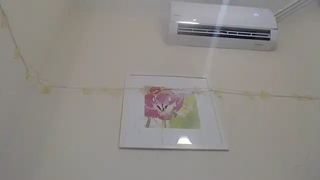 Only Mane online show from 14, 1, 2025