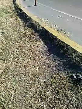 Alysson-- online show from 20, 1, 2025