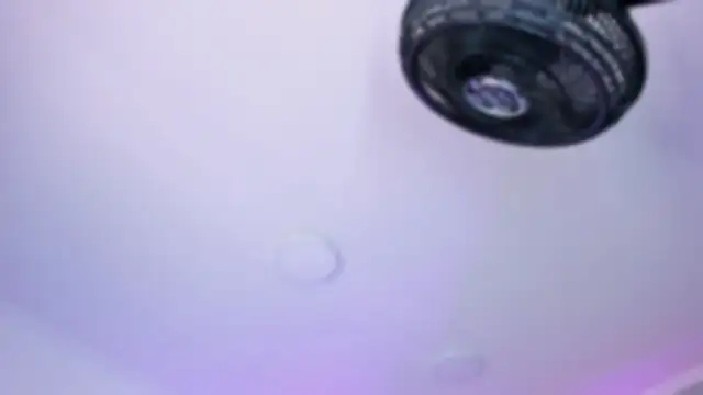 AmberiniHoffman online show from 26, 10, 2025