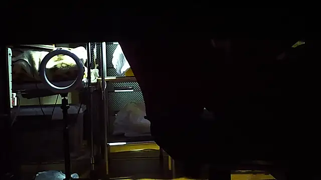 qoooqing67 online show from 15, 12, 2024