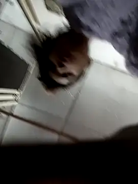 zoya khan25 online show from 28, 12, 2024