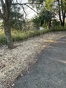 Hideen-real-face online show from 18, 2, 2026