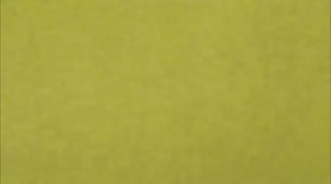 AnneGagner online show from 9, 3, 2025