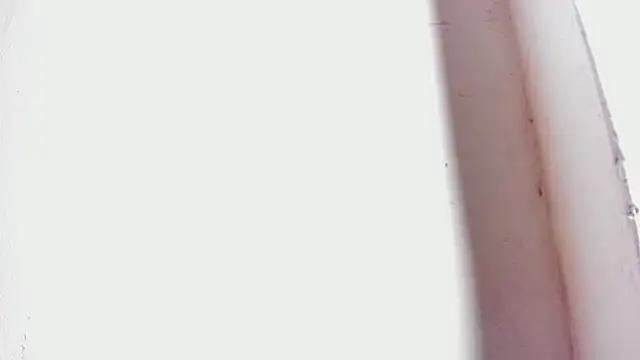 Snapshot of tifany_bigdick chatting on 27, 2, 2025 tifany bigdick online show from 27, 2, 2025