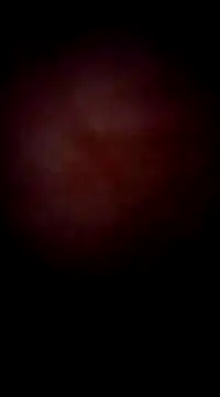 garchapatagonica online show from 23, 12, 2024