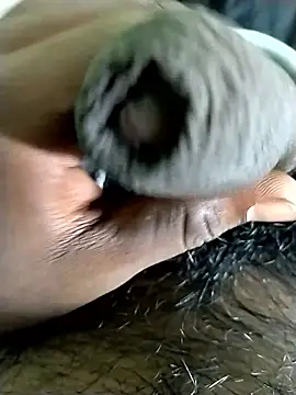 jellydicks online show from 2, 10, 2025