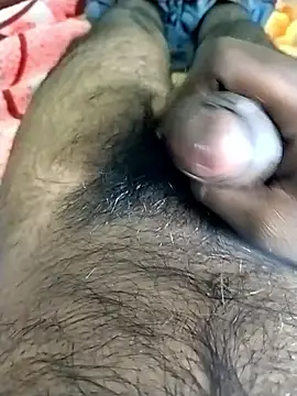 jellydicks online show from 9, 11, 2025