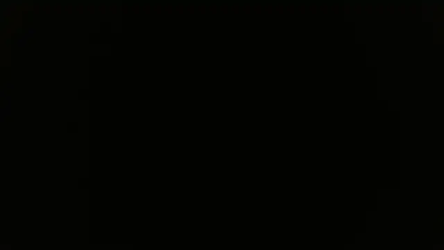 Vanse lust online show from 6, 12, 2024