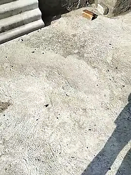 Snapshot of kvickeykurre702418 chatting on 8, 7, 2026 kvickeykurre702418 online show from 8, 7, 2026