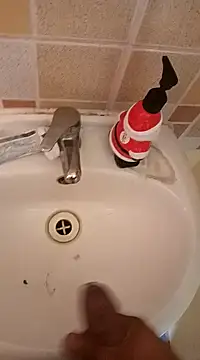 pedritolobito online show from 10, 1, 2025