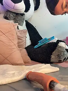 IamSteph13 online show from 2, 3, 2026