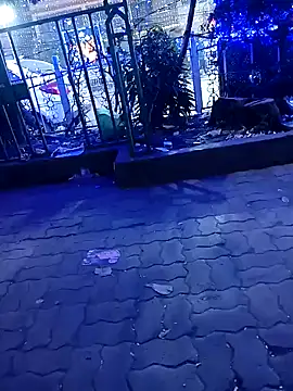 Snapshot of riyajfuckboy chatting on 25, 12, 2024 riyajfuckboy online show from 25, 12, 2024