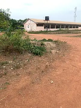 Black mamba madingo online show from 22, 2, 2025