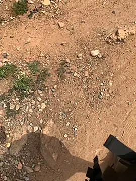 Black mamba madingo online show from 27, 2, 2025