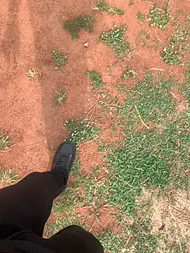 Black mamba madingo online show from 22, 3, 2025