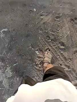 Piyush 2024 online show from 26, 3, 2026