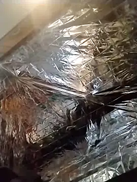 axelongshaft69 online show from 19, 12, 2024