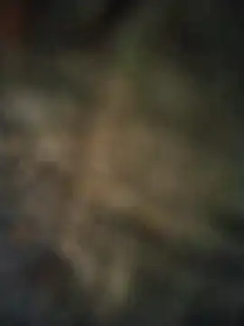 axelongshaft69 online show from 7, 4, 2026