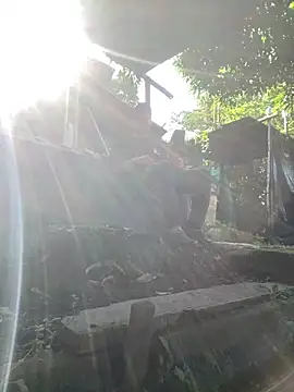 Jestebanano online show from 2, 3, 2026