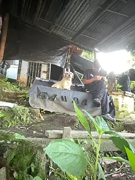 Jestebanano online show from 16, 3, 2026