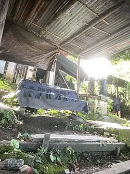 Jestebanano online show from 2, 4, 2026