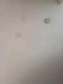 geilerschwanz64 online show from 5, 1, 2025