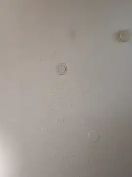 geilerschwanz64 online show from 10, 1, 2025