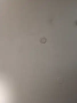 geilerschwanz64 online show from 15, 1, 2025