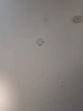 geilerschwanz64 online show from 19, 2, 2025