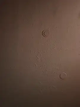 geilerschwanz64 online show from 20, 3, 2025