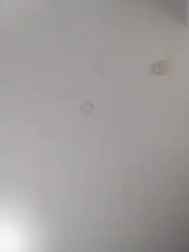 geilerschwanz64 online show from 22, 9, 2025