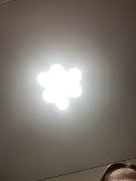 Janet Welder online show from 3, 4, 2026