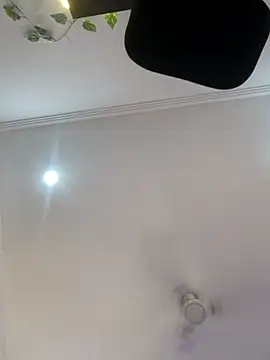 Archi-07 online show from 24, 10, 2025