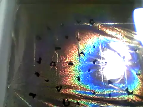 camiliaskye online show from 13, 12, 2024