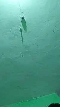 RADHAHO online show from 9, 10, 2025