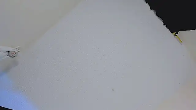 Snapshot of missycanoo chatting on 22, 10, 2025 missycanoo online show from 22, 10, 2025