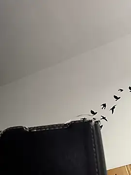 bogland33 online show from 5, 3, 2026