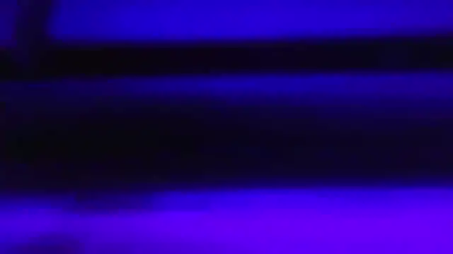 infonicoseba online show from 7, 2, 2026