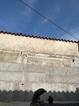 Leo bunny hot online show from 18, 9, 2025