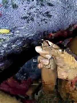 Kolkataboiy online show from 24, 9, 2025