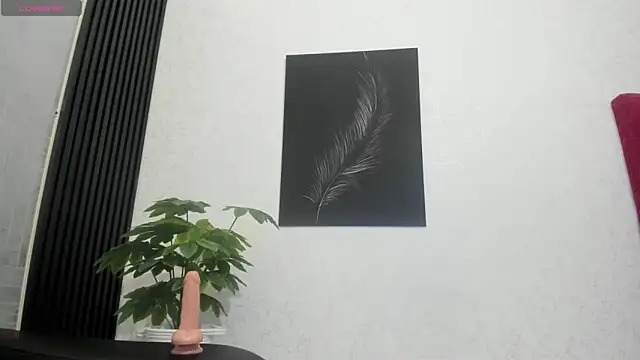 Snapshot of Cristopher23_ chatting on 12, 2, 2025 Cristopher23 online show from 12, 2, 2025