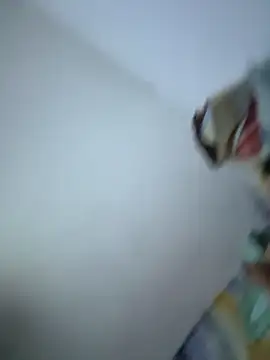 Snapshot of SweetBonniie chatting on 3, 11, 2025 SweetBonniie online show from 3, 11, 2025