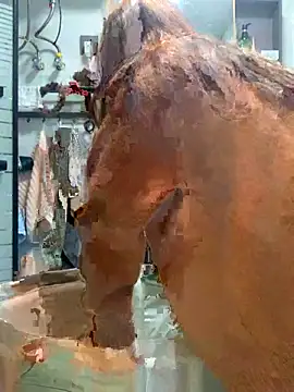 Aimeil online show from 18, 11, 2025