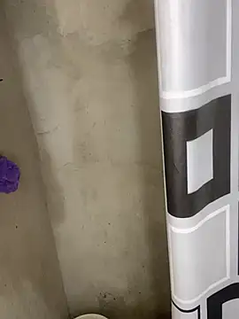 Snapshot of Romax2 chatting on 17, 1, 2025 Romax2 online show from 17, 1, 2025