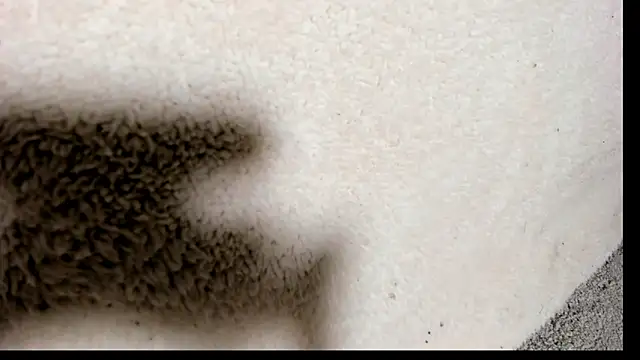 Snapshot of Brock_hurn1 chatting on 15, 9, 2025 Brock hurn1 online show from 15, 9, 2025