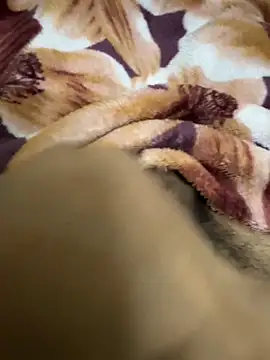 hamed-697 online show from 16, 12, 2024