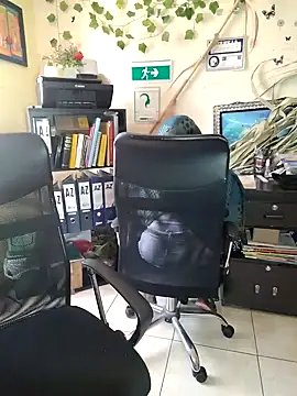 Snapshot of NAJWA-ARAB chatting on 15, 1, 2025 NAJWA-ARAB online show from 15, 1, 2025