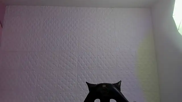Snapshot of Violetaa_diazz chatting on 4, 5, 2026 Violetaa diazz online show from 4, 5, 2026