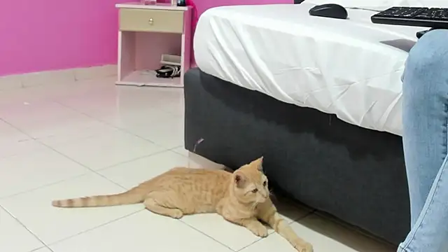  candy jade  online show from 15, 1, 2026